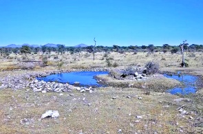 カンバク自然保護区の水飲み場。ウェブカメラ グルートフォンテイン