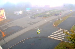 ヴァトゥティナ - パパニンツェフの交差点。 ペルヴォウラリスクのウェブカメラ