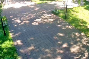 セントラルパーク。アングル2。ゲオルギエフスクのオンラインウェブカメラ