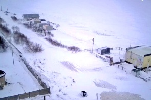 白海の海岸。 ウェブカメラ セヴェロドヴィンスク