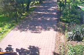 セントラルパーク。ゲオルギエフスクのウェブカメラオンライン