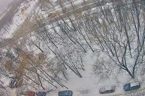 沿岸通路、7. モスクワのウェブカメラ